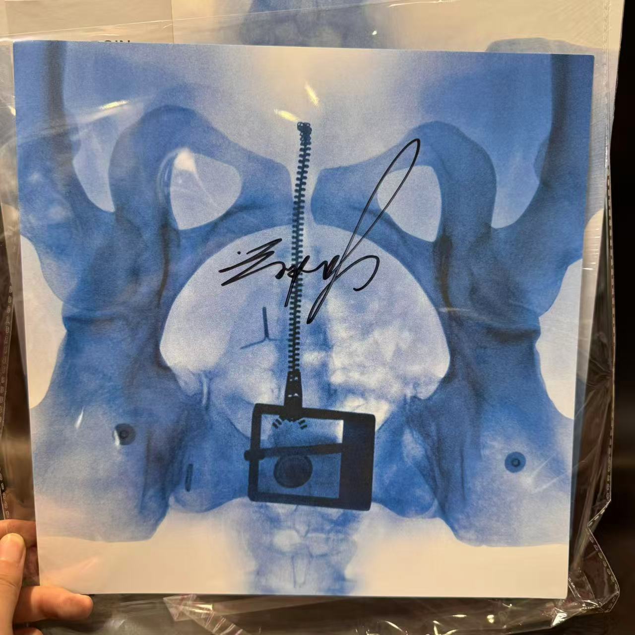 Lorde - Virgin (LP) (Mint (M))