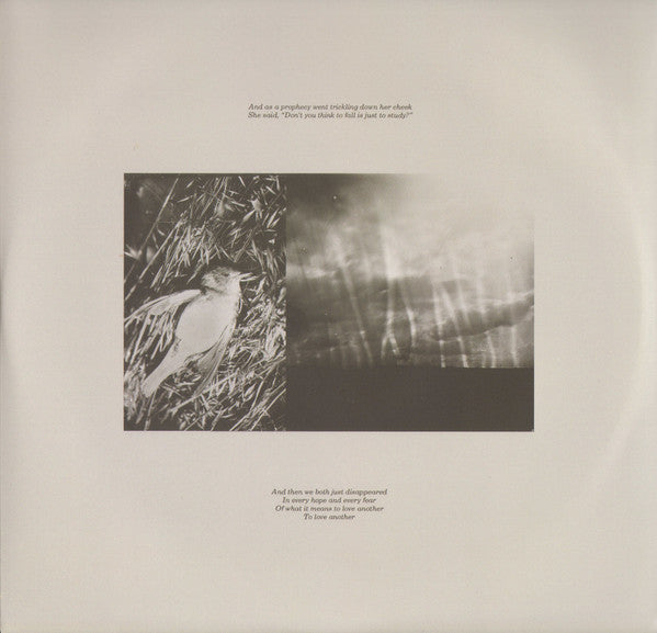 Asaf Avidan : The Study On Falling (LP, Album, 180)