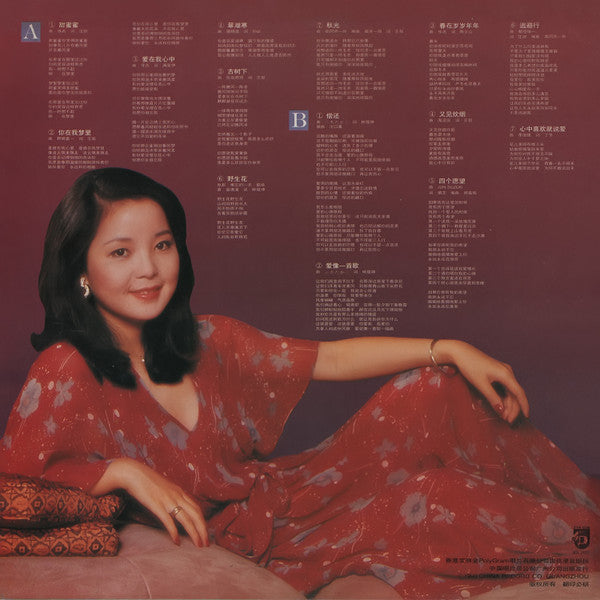 邓丽君* : 邓丽君 (LP, Comp)