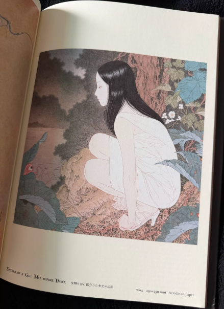 Takato Yamamoto – Nosferatu Art Book (Japanese Edition)