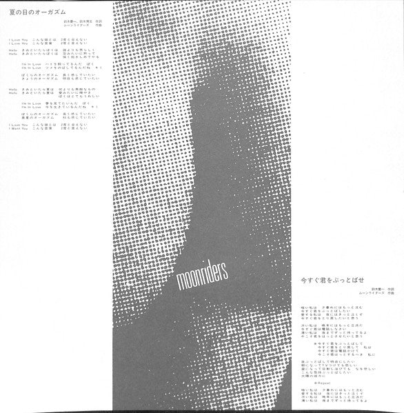 Moonriders : 夏の日のオーガズム (12", Single, Promo)
