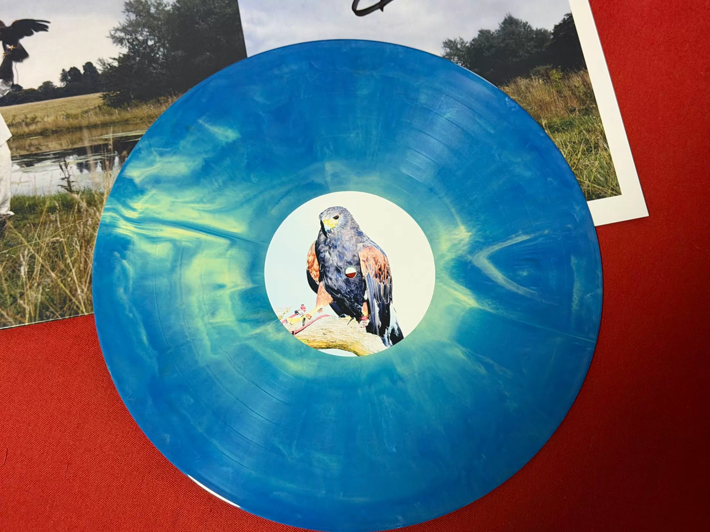 Avalon Emerson & The Charm – Written Into Changes (Big Love Blue LP + Signed Card)