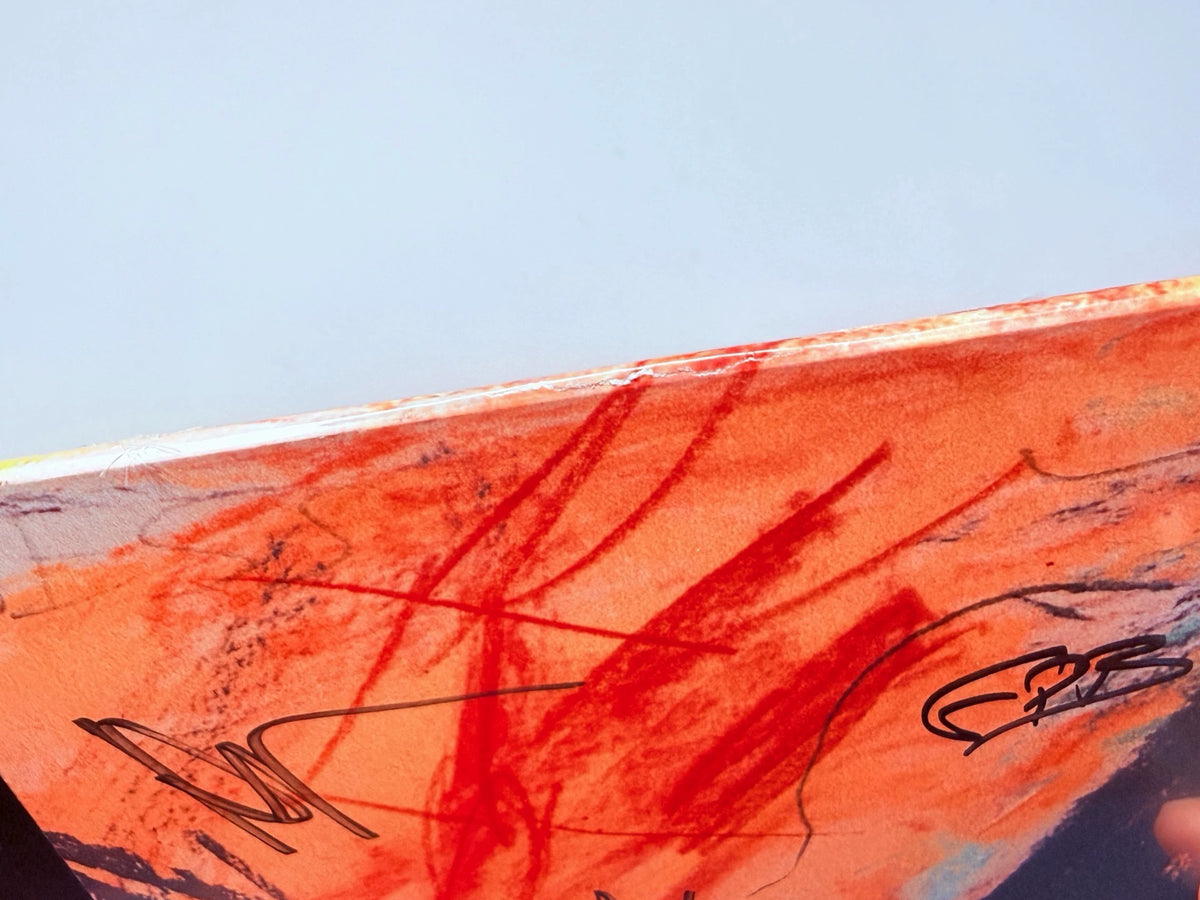 The Murder Capital – Blindness – Signed Splatter Vinyl LP photo 3