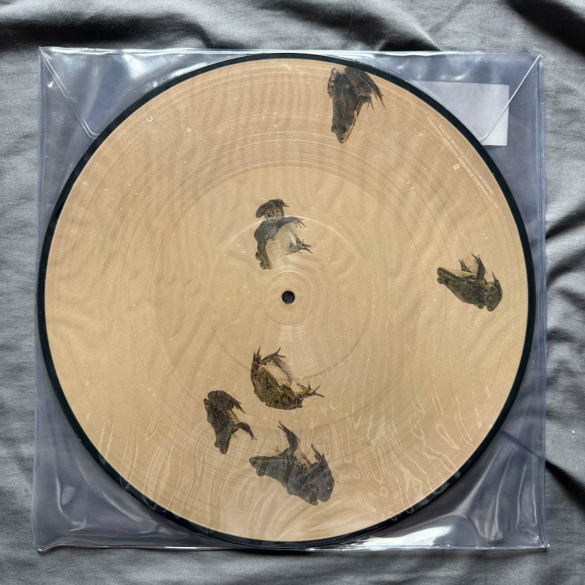 Selena Gomez – Rare Picture Disc Vinyl LP