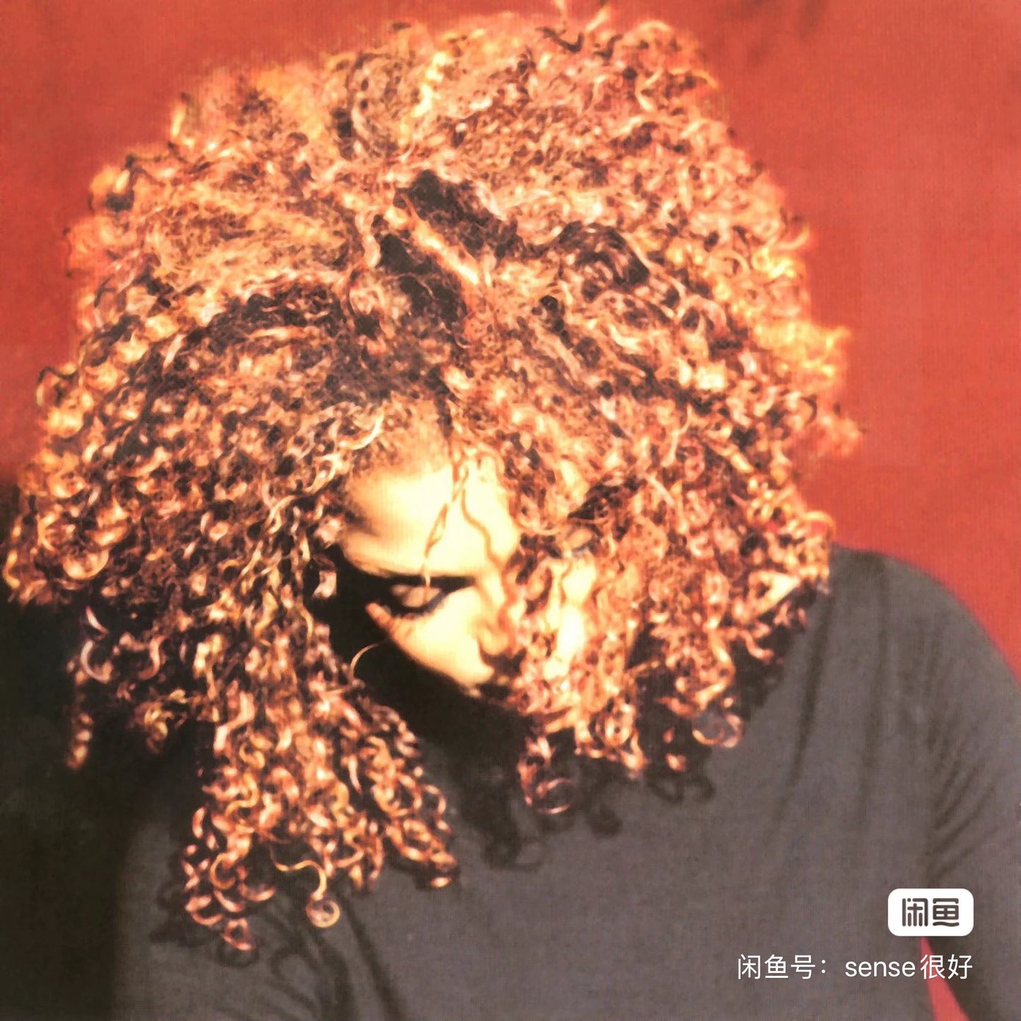 Janet Jackson – The Velvet Rope (2LP, Sealed)