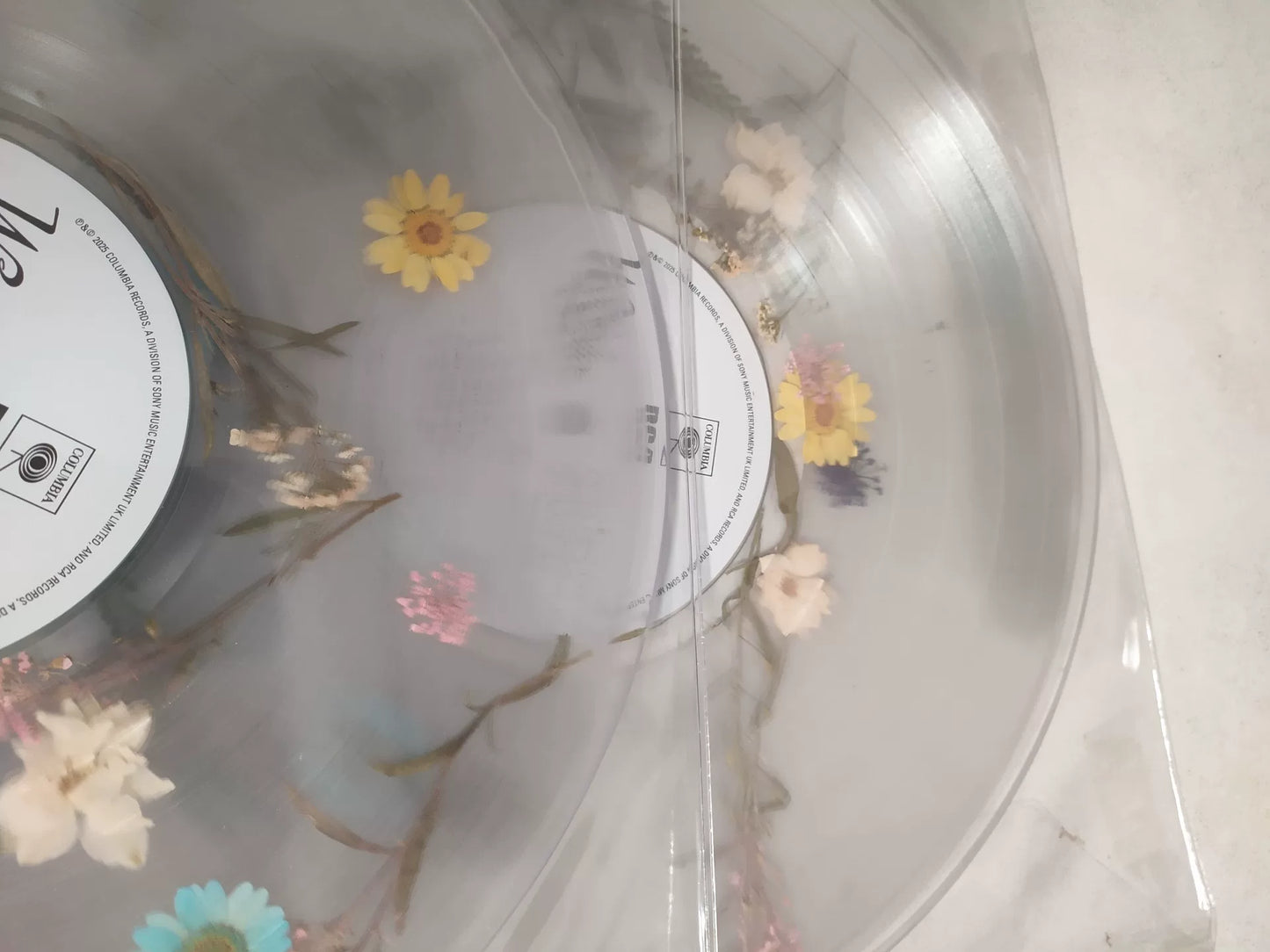 Wolf Alice – The Clearing Limited Colored Vinyl LP