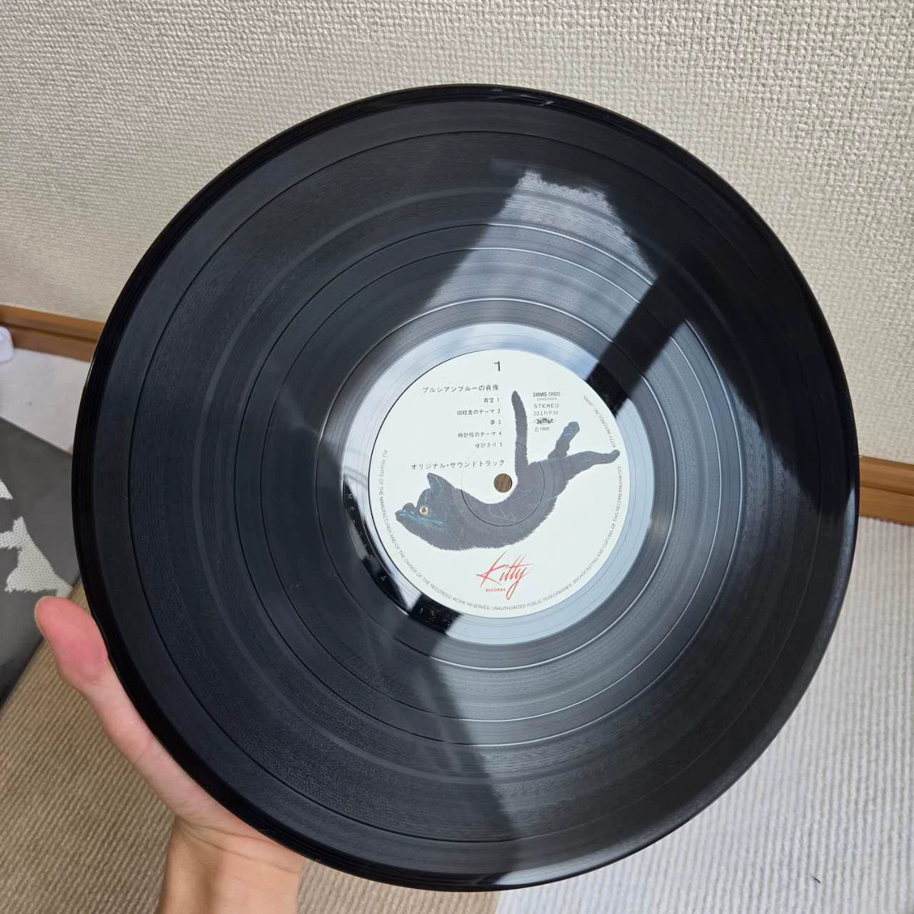 Anzen Chitai LP detail