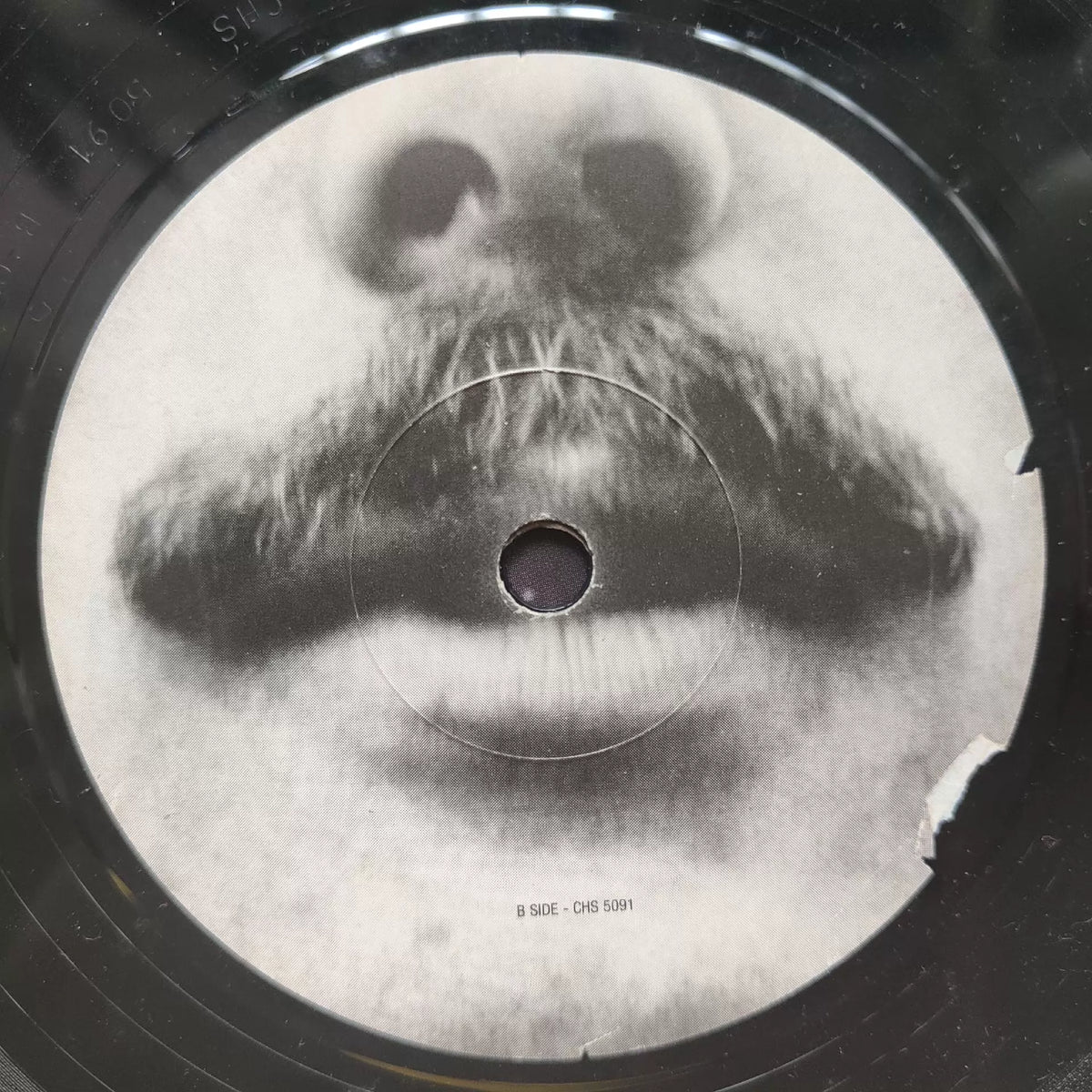 Black Box Recorder – England Made Me – 7-inch Vinyl Single – detail 4