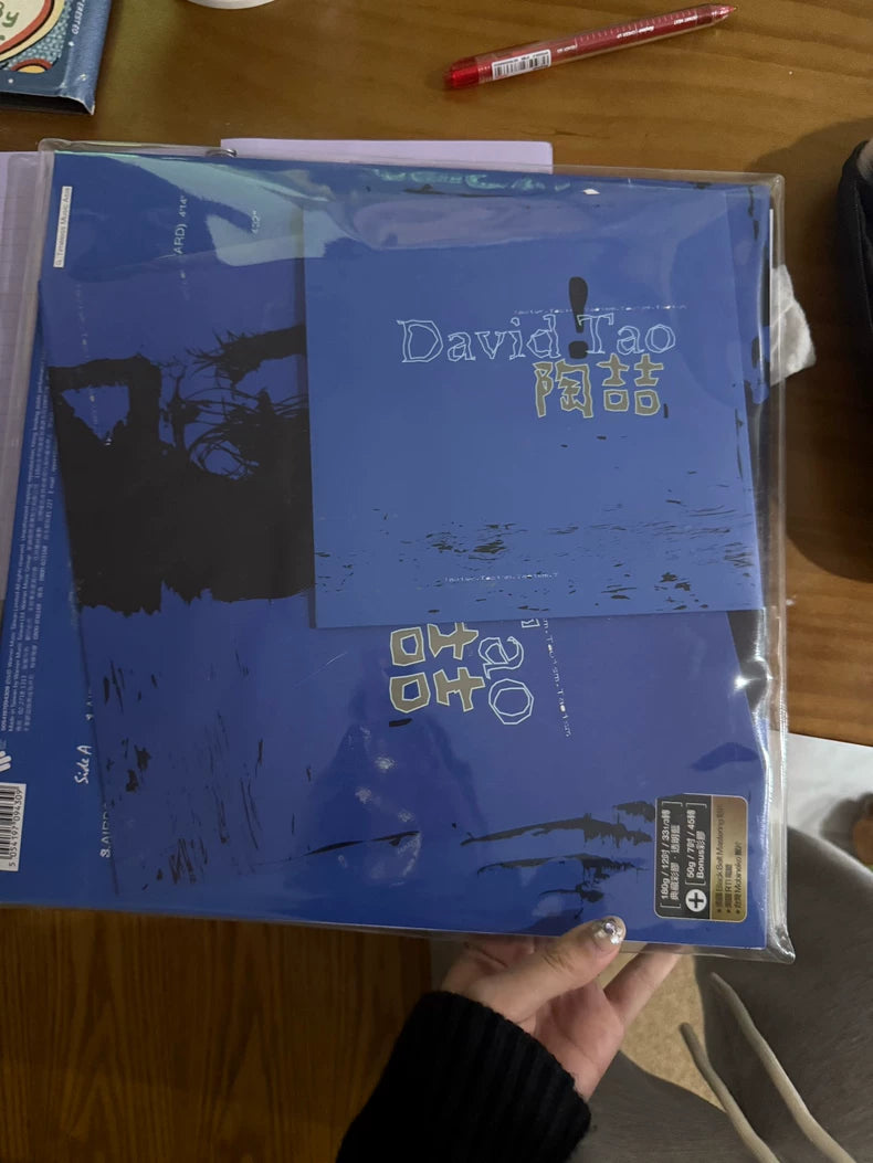 David Tao 陶喆 – Self-Titled – Taiwan Blue Vinyl Set – Opened