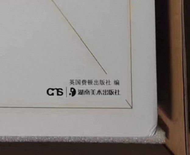 The Art Museum – Phaidon – Chinese Hardcover Art Book with Box – actual item photograph 9