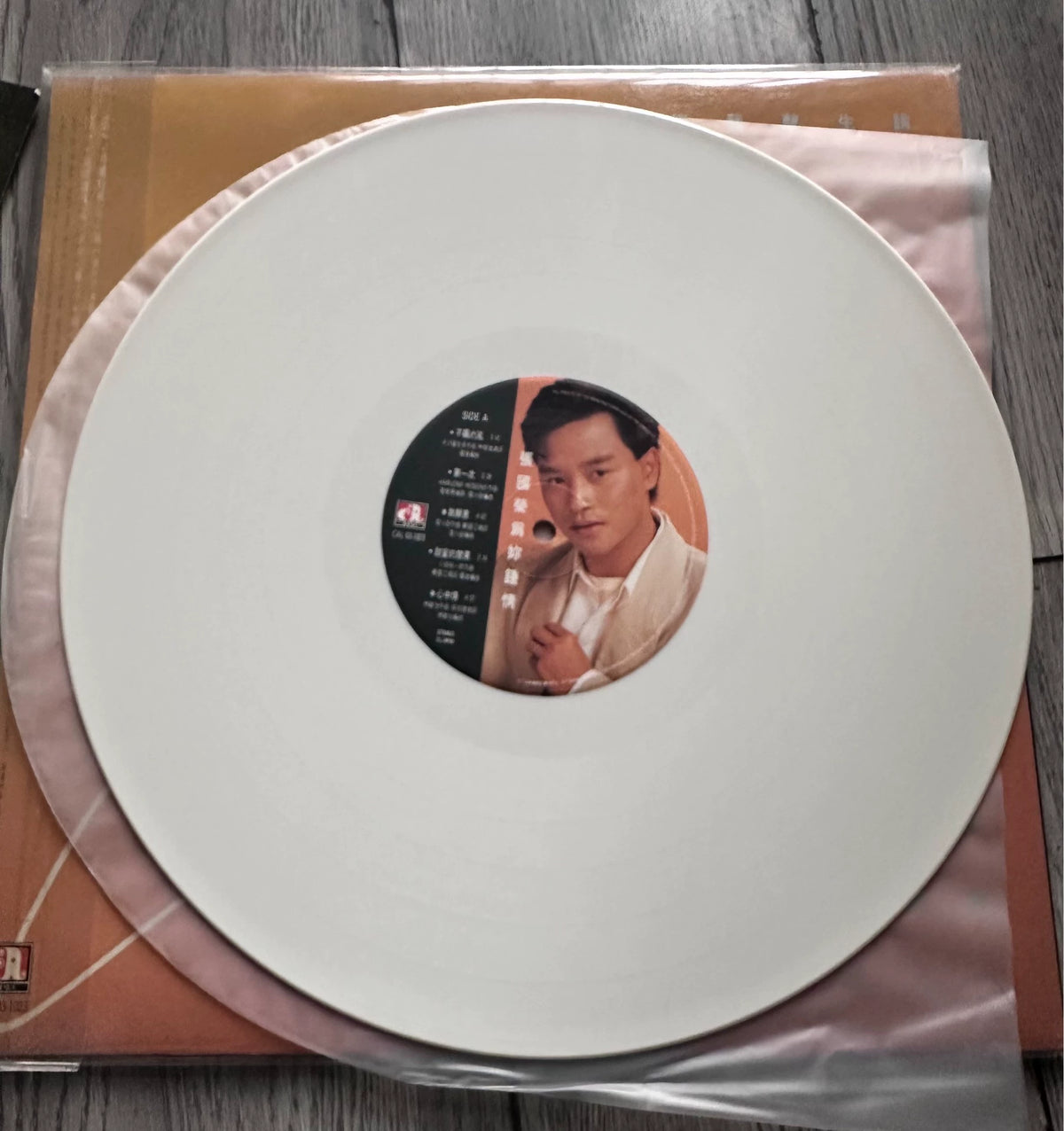 Leslie Cheung / 張國榮 - 為妳鍾情