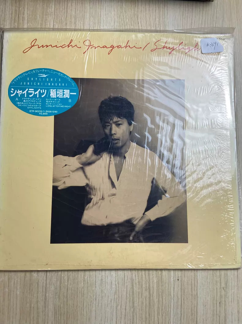 Junichi Inagaki – Shylights – Japanese Vinyl
