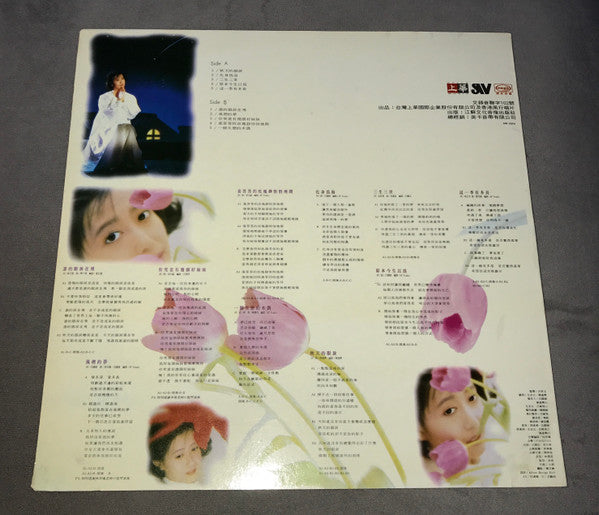 孟庭葦 : 誰的眼淚在飛 (LP, Album)