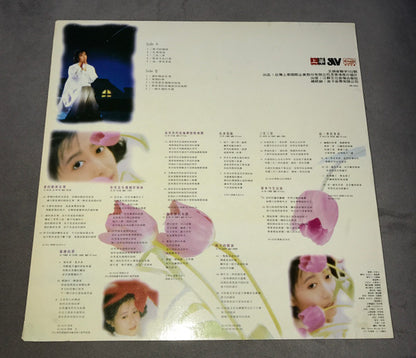 孟庭葦 : 誰的眼淚在飛 (LP, Album)