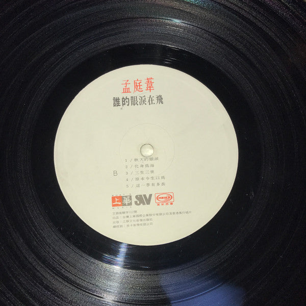 孟庭葦 : 誰的眼淚在飛 (LP, Album)