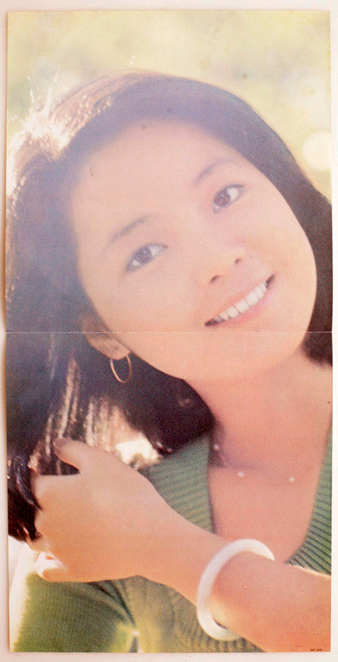 テレサ・テン* = 鄧麗君* : 空港／雪化粧 (LP, Album)