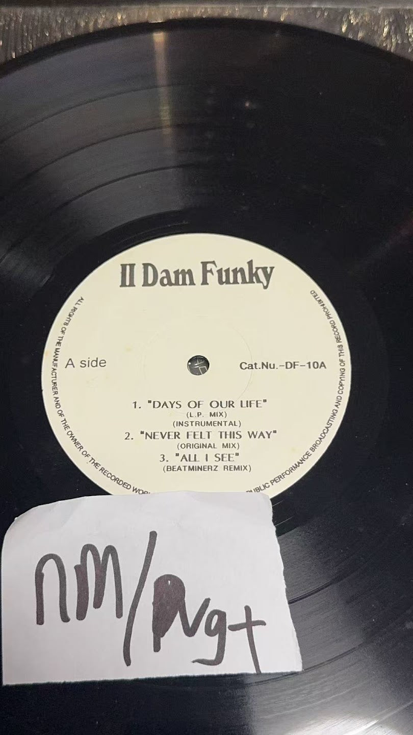 II Dam Funky – Days Of Our Life / Never Felt This Way
