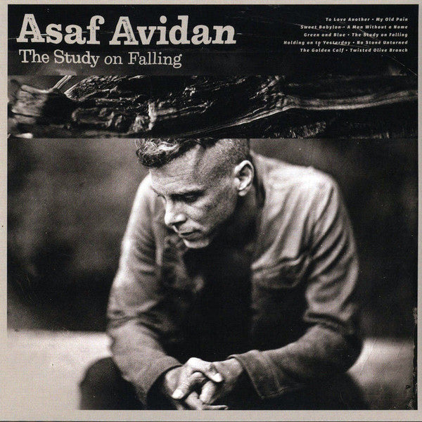 Asaf Avidan : The Study On Falling (LP, Album, 180)