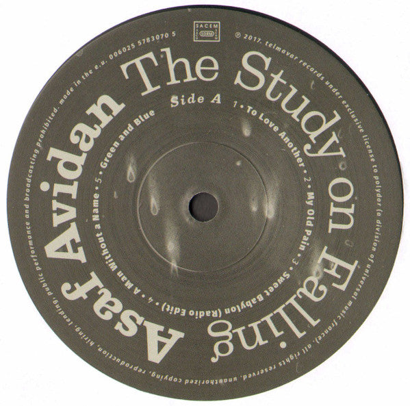 Asaf Avidan : The Study On Falling (LP, Album, 180)