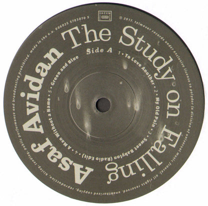 Asaf Avidan : The Study On Falling (LP, Album, 180)