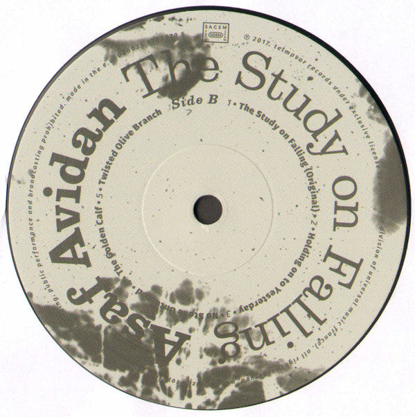 Asaf Avidan : The Study On Falling (LP, Album, 180)