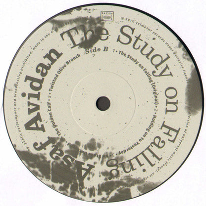 Asaf Avidan : The Study On Falling (LP, Album, 180)