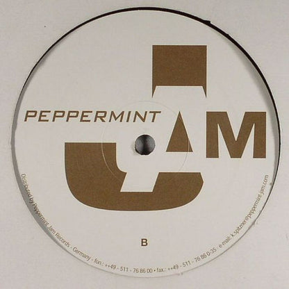 T-Ski Valley : Catch The Beat (Dimi's Mousse T's Old School Remix) (12")