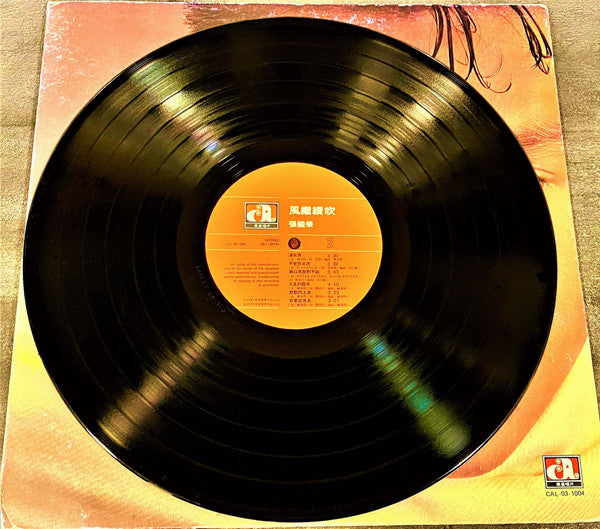 Leslie Cheung : 風繼續吹 (LP, Album)