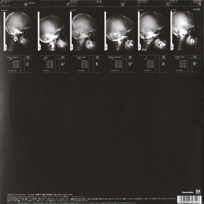 Dragon Ash Feat. Rappagariya : Deep Impact (Remixed By DJ Krush) (12")