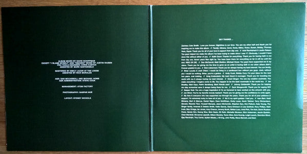 Sky Ferreira : Night Time, My Time (LP, Album, Gat)