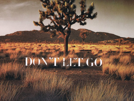 Mondo Grosso : Don't Let Go (12")