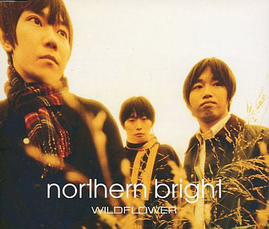 Northern Bright : Wildflower (12", EP)