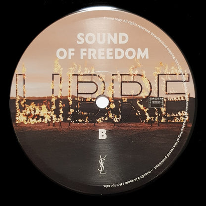 Dua Lipa : I'm Free (12", Promo)