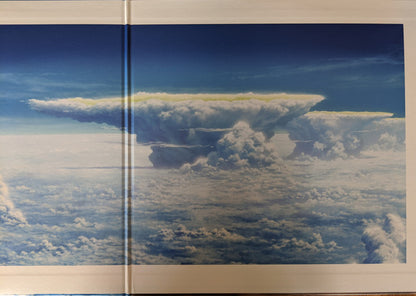 Radwimps : 天気の子 (2xLP, Album, Ltd)
