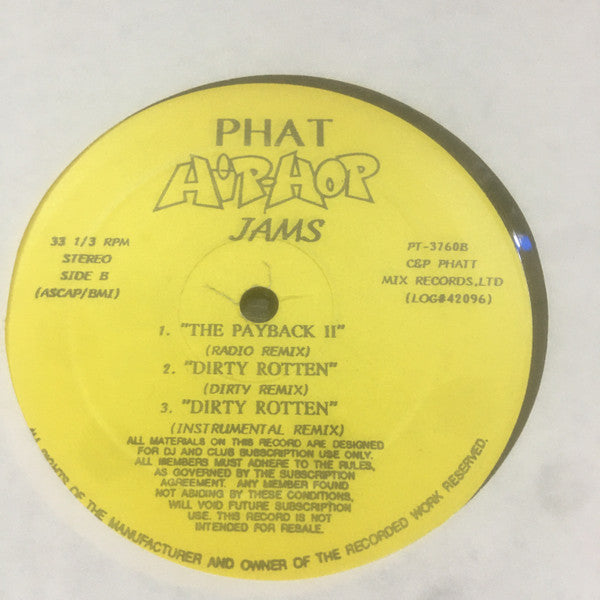 Various : Phat Hip-Hop Jams (12", Comp, Unofficial)