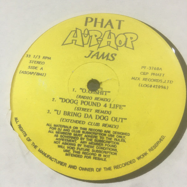 Various : Phat Hip-Hop Jams (12", Comp, Unofficial)