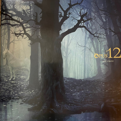 周杰倫* : 12新作 (2xLP, Album, Ltd, DMM)