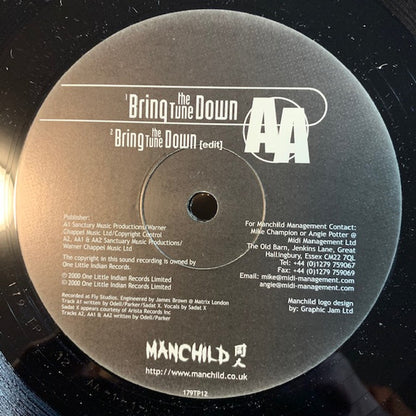Manchild 同人* : Somethin' In My System / Bring The Tune Down (12")