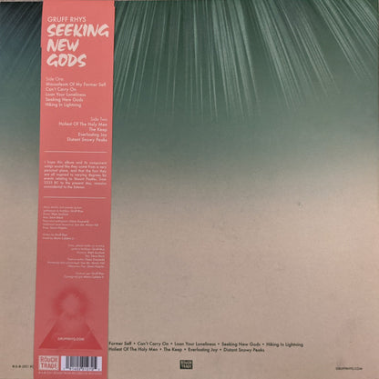 Gruff Rhys : Seeking New Gods (LP, Album, Gre)