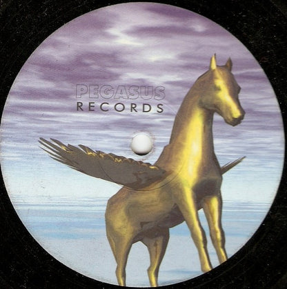 Atlantic Ocean : The Cycle Of Life (12")