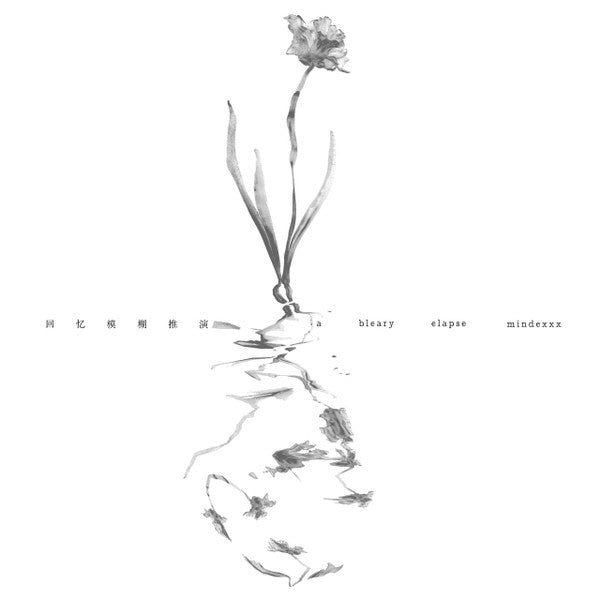 mindexxx : 回忆模糊推演 a bleary elapse (LP)