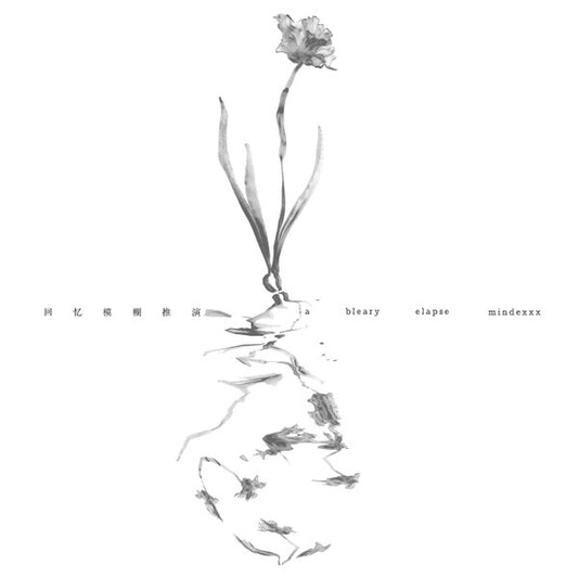 mindexxx : 回忆模糊推演 a bleary elapse (LP)