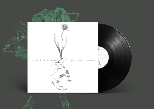 mindexxx : 回忆模糊推演 a bleary elapse (LP)
