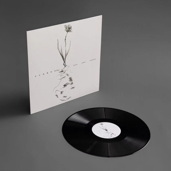 mindexxx : 回忆模糊推演 a bleary elapse (LP)