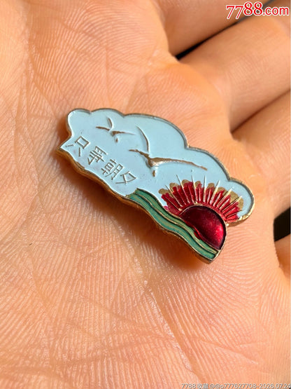 Seize the Day — Seagull Sunrise Aluminium Badge, c.1967–76 — detail 3