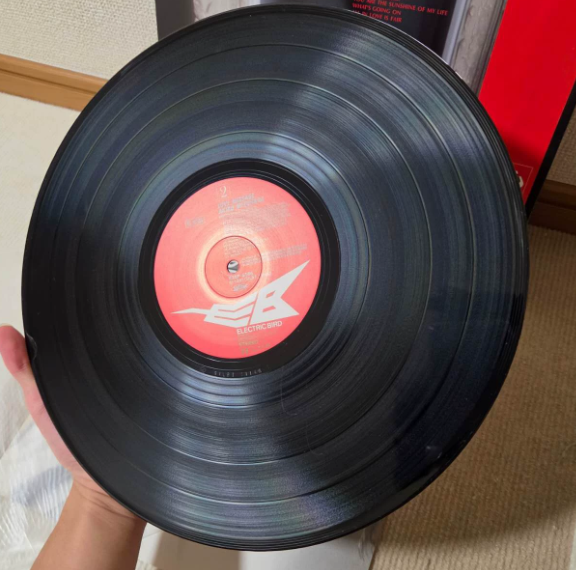 Akiko Mizuhara - Love Message LP