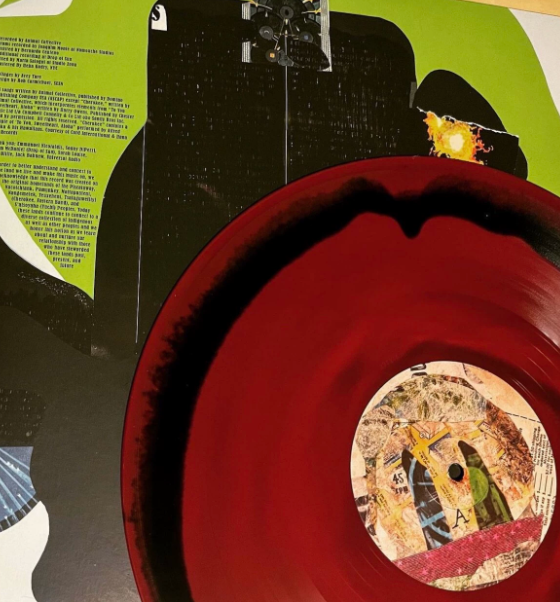Animal Collective - Time Skiffs (Color Vinyl 2LP,  Sealed)