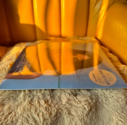 Faye Wong – Faye Wong's World Bootleg Vinyl LP