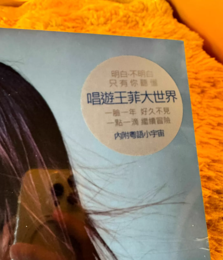 Faye Wong – Faye Wong's World Bootleg Vinyl LP