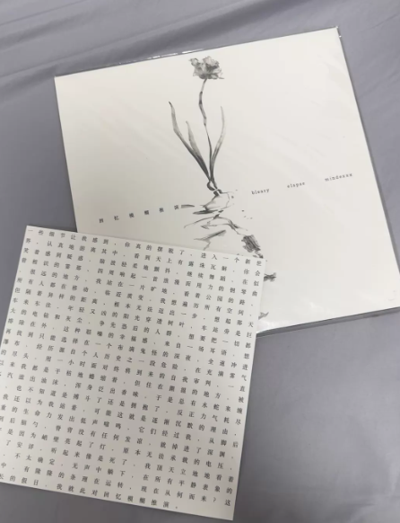 mindexxx – Bleary Elapse Mindexxx Black Vinyl LP